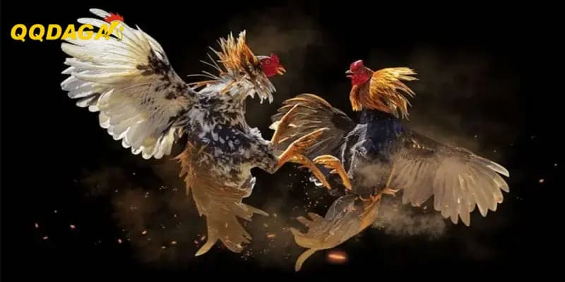 Cách Điều Chỉnh Tâm Lý Người Nuôi Để Tránh Quyết Định Sai 