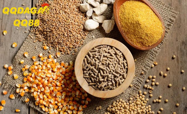QQDAGA Tiết Lộ Khẩu Phần Ăn Theo Từng Giai Đoạn Phát Triển