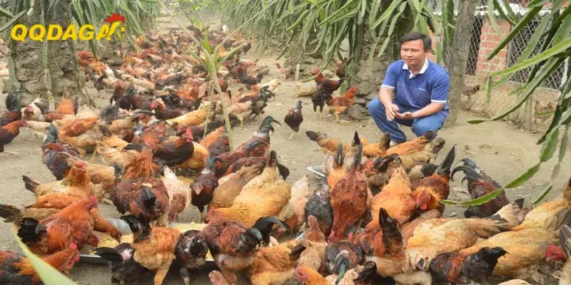 Cùng Sảnh Cược QQDAGA Hướng Dẫn Chi Tiết Cách Cân Bằng Dinh Dưỡng